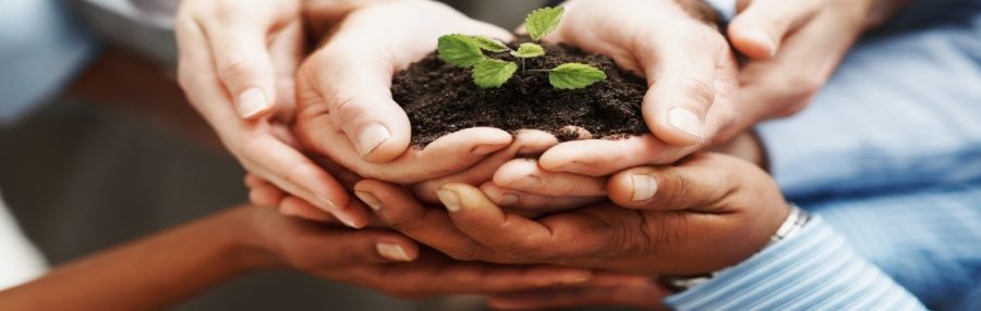 welfare d'accesso bandi sociali